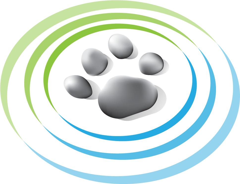 Circle (976x744)