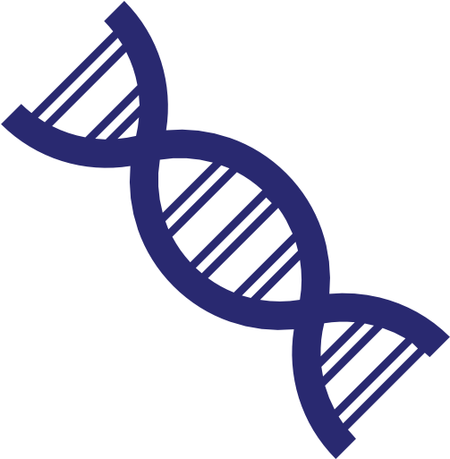 Dna Strand - Genetics Clipart (512x512)
