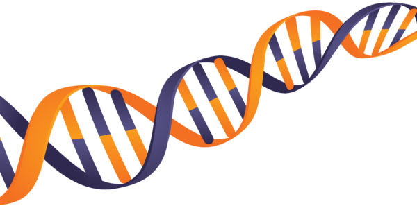 Frequently Asked Questions - Genetics (600x300)