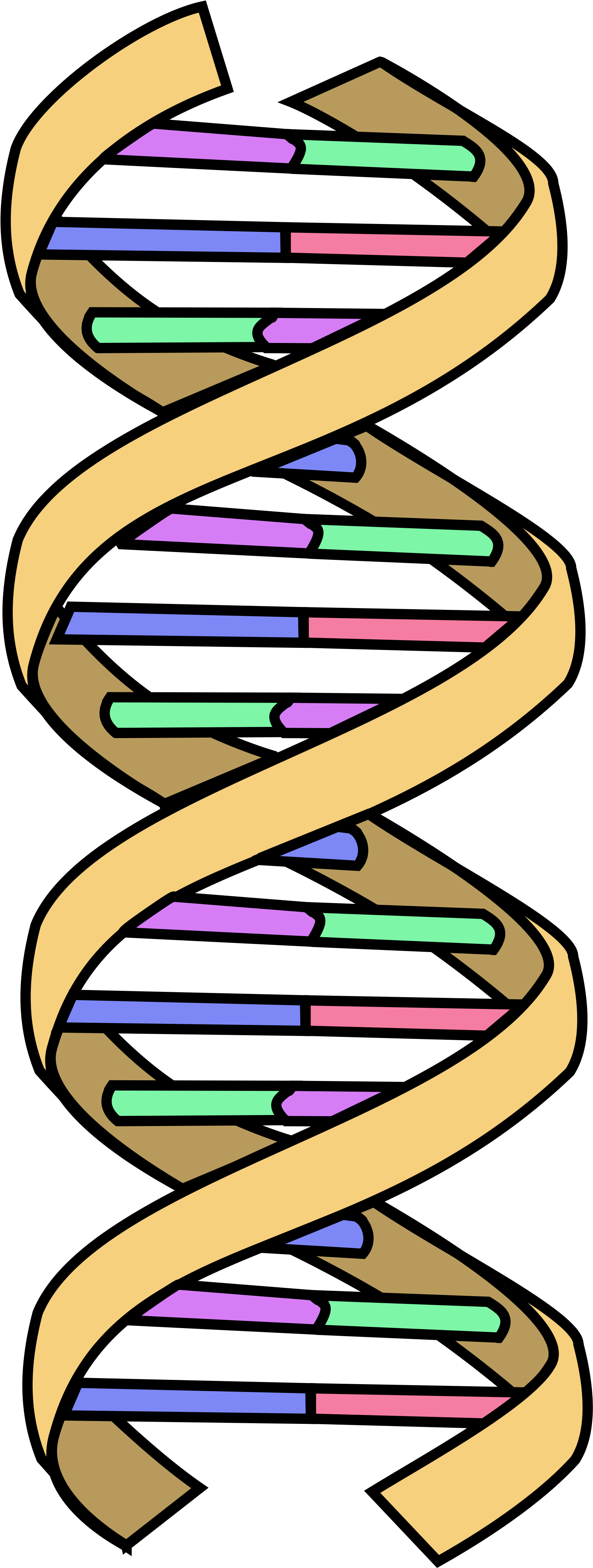 Open - Dna Simple Diagram (2000x4737)