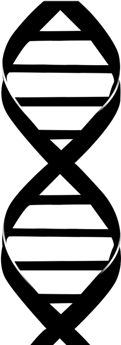 Dna Drawing (319x673)