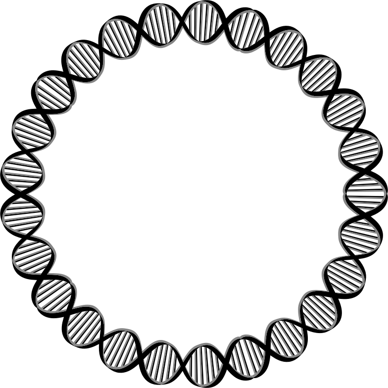 Medium Image - Dna Circle Png (784x784)