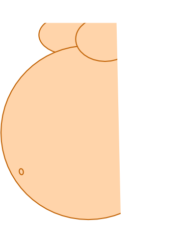 Circle (372x596)