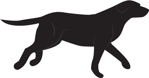 Labrador Technologies - Website (500x500)