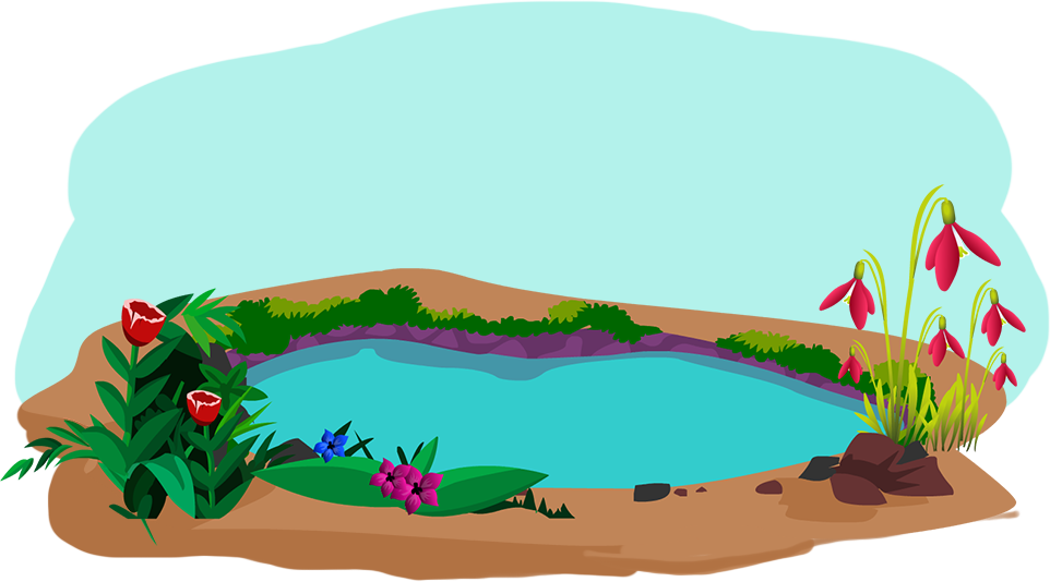 Noun - Illustration (962x534)