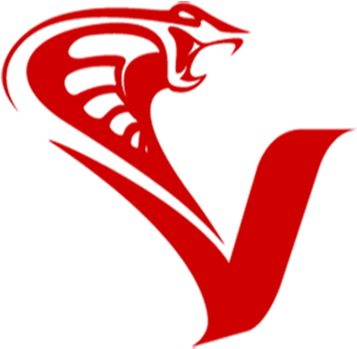 Venom Outlaws - Emblem (400x400)