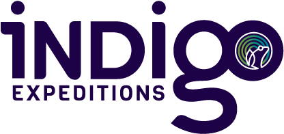 Indigo Expeditions - Graphic Design (504x324)