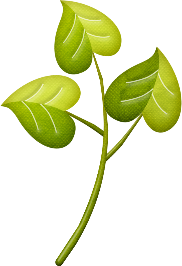 Branchesclip - Tree (630x921)