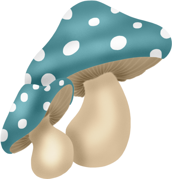 Яндекс - Фотки - Mushroom (575x600)