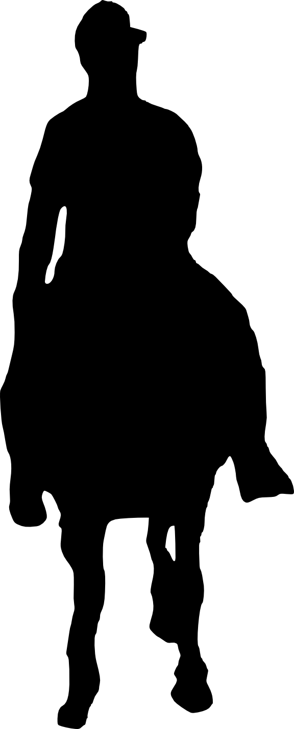 Free Download - Raven (576x1426)