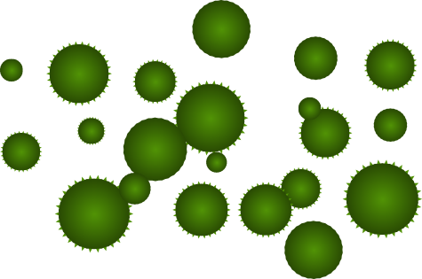 Do You Draw Algae (475x315)