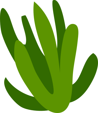 Vector - Algae - Svg - Vector - Algae - Svg (400x459)