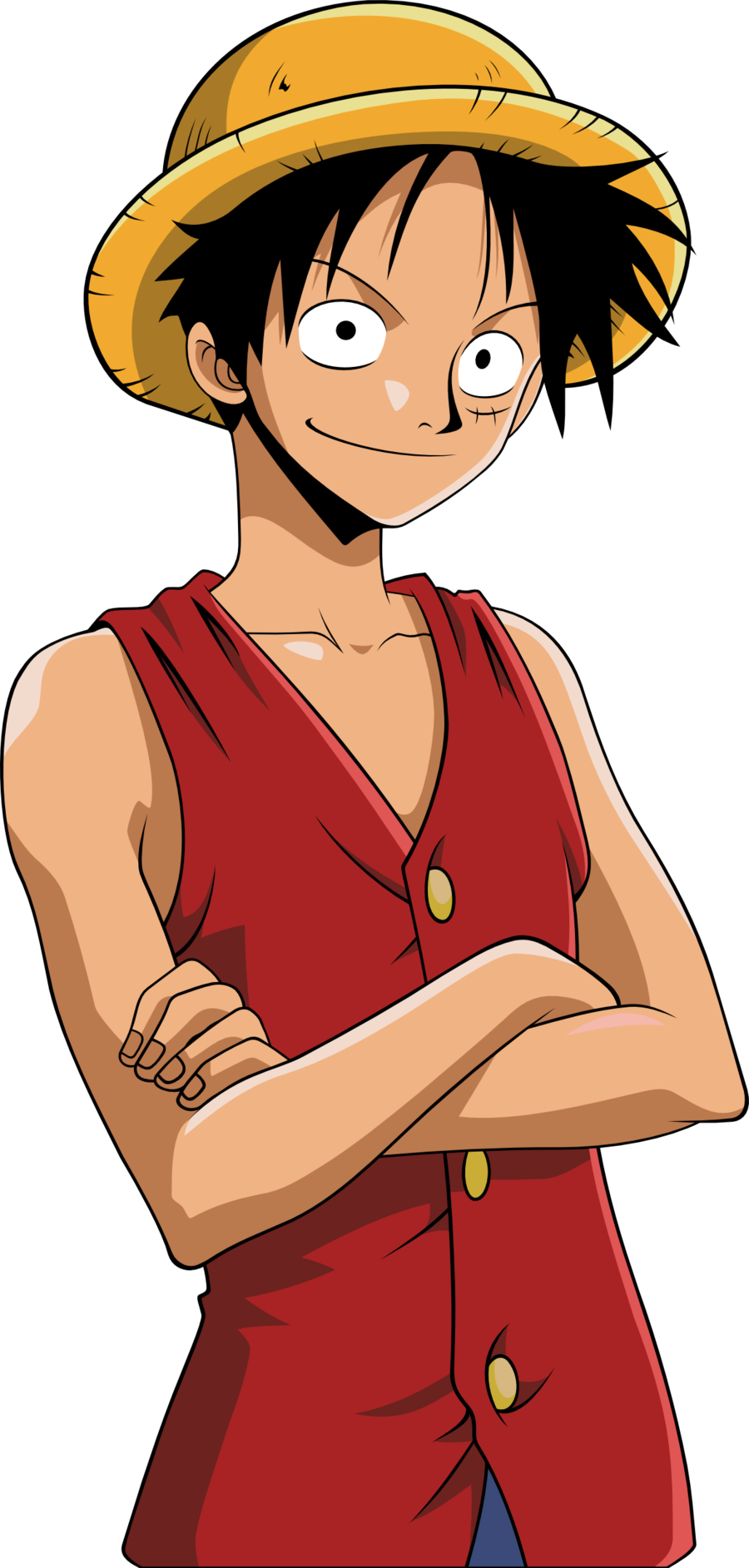 Monkey D - One Piece Bgm Collection (900x1884)