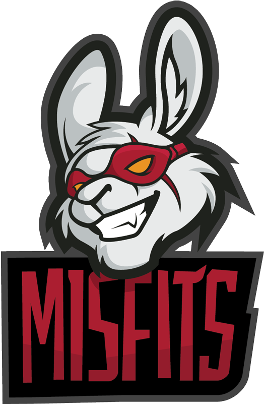 Msfmisfits - Misfits Lol (800x800)