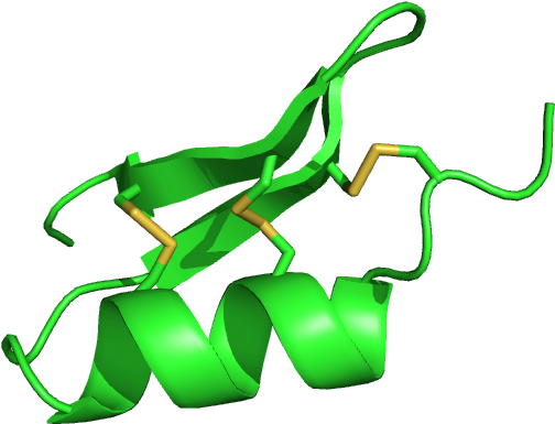 Scyllatoxin (640x480)