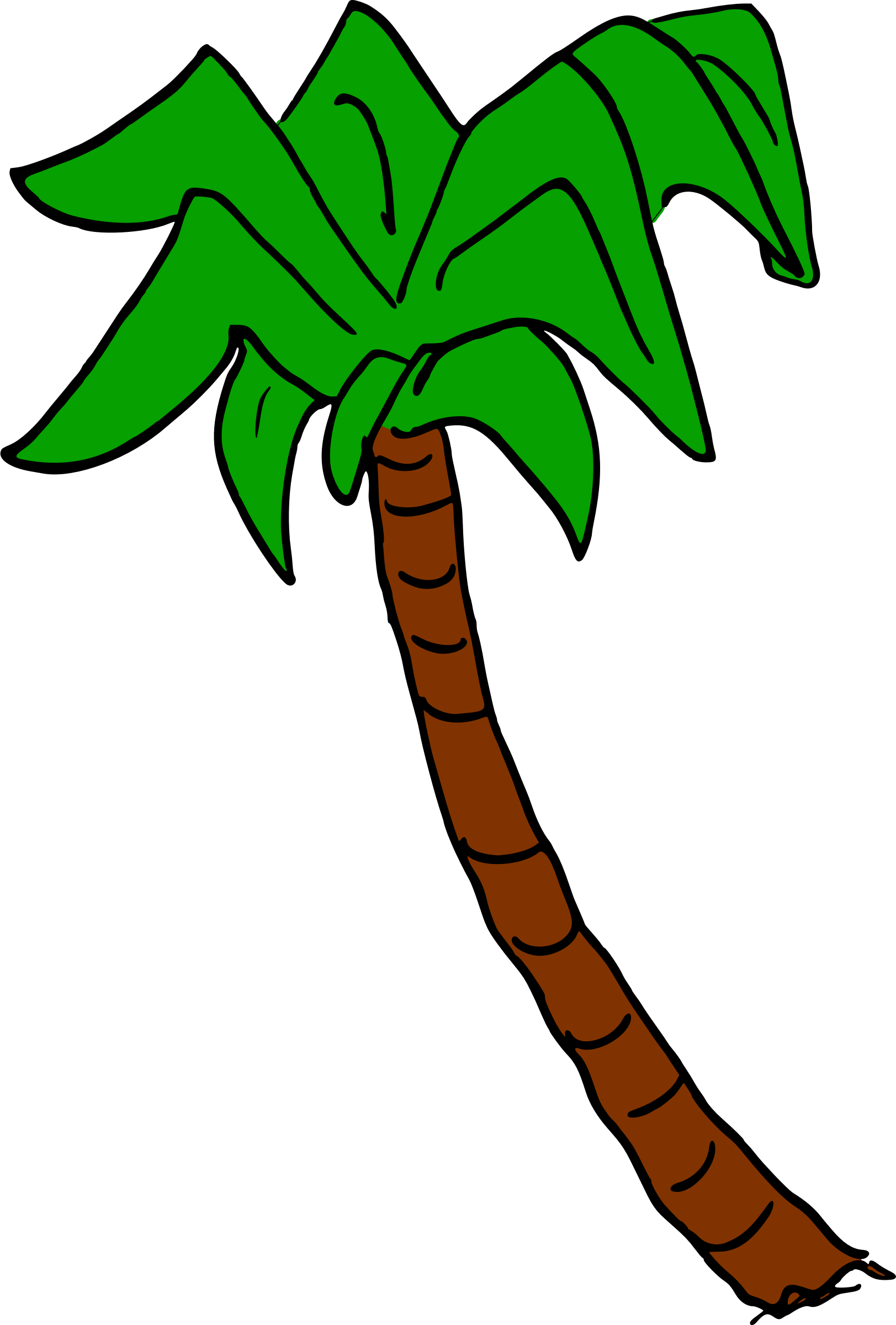 Palm Tree 6 - Palm Trees (1623x2400)