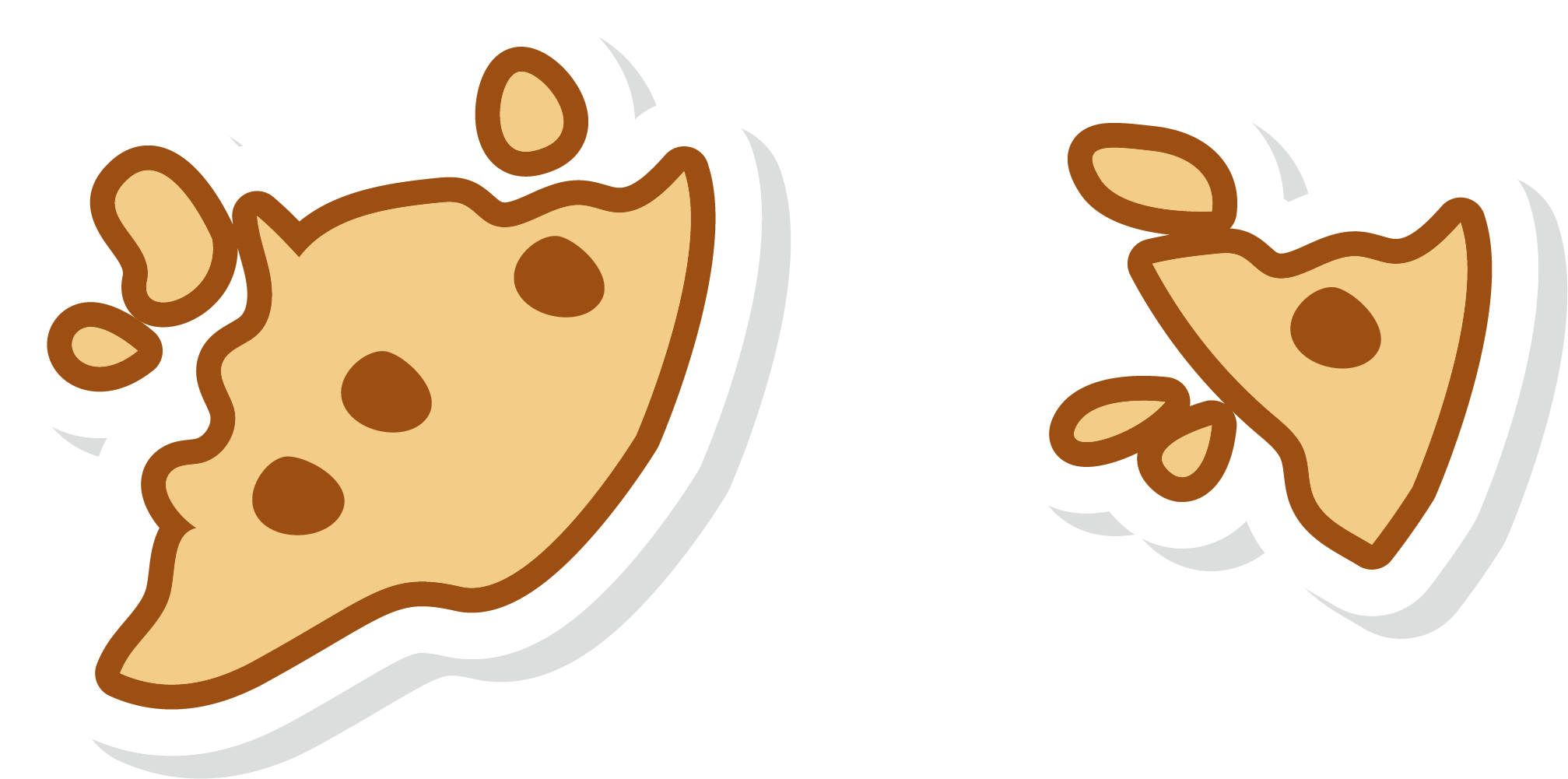 Chocolate Chip Cookie Euclidean Vector - Chocolate Chip Cookie Euclidean Vector (2015x1001)