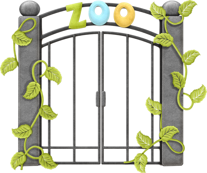 Фото, Автор Ladylony На Яндекс - Zoo (800x668)