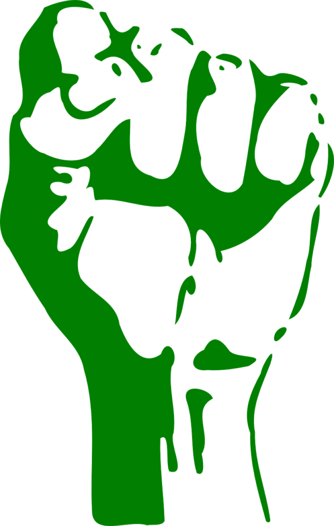 Raised Fist (651x1024)