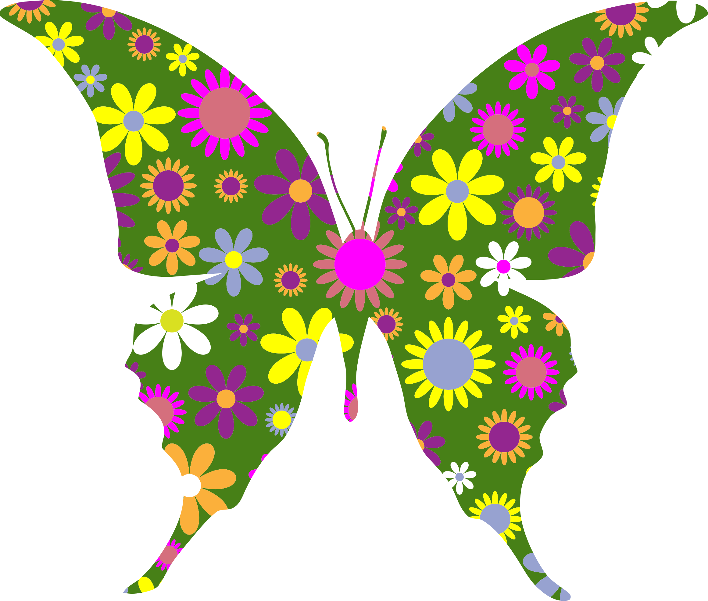 Big Image - Butterfly (2322x1972)