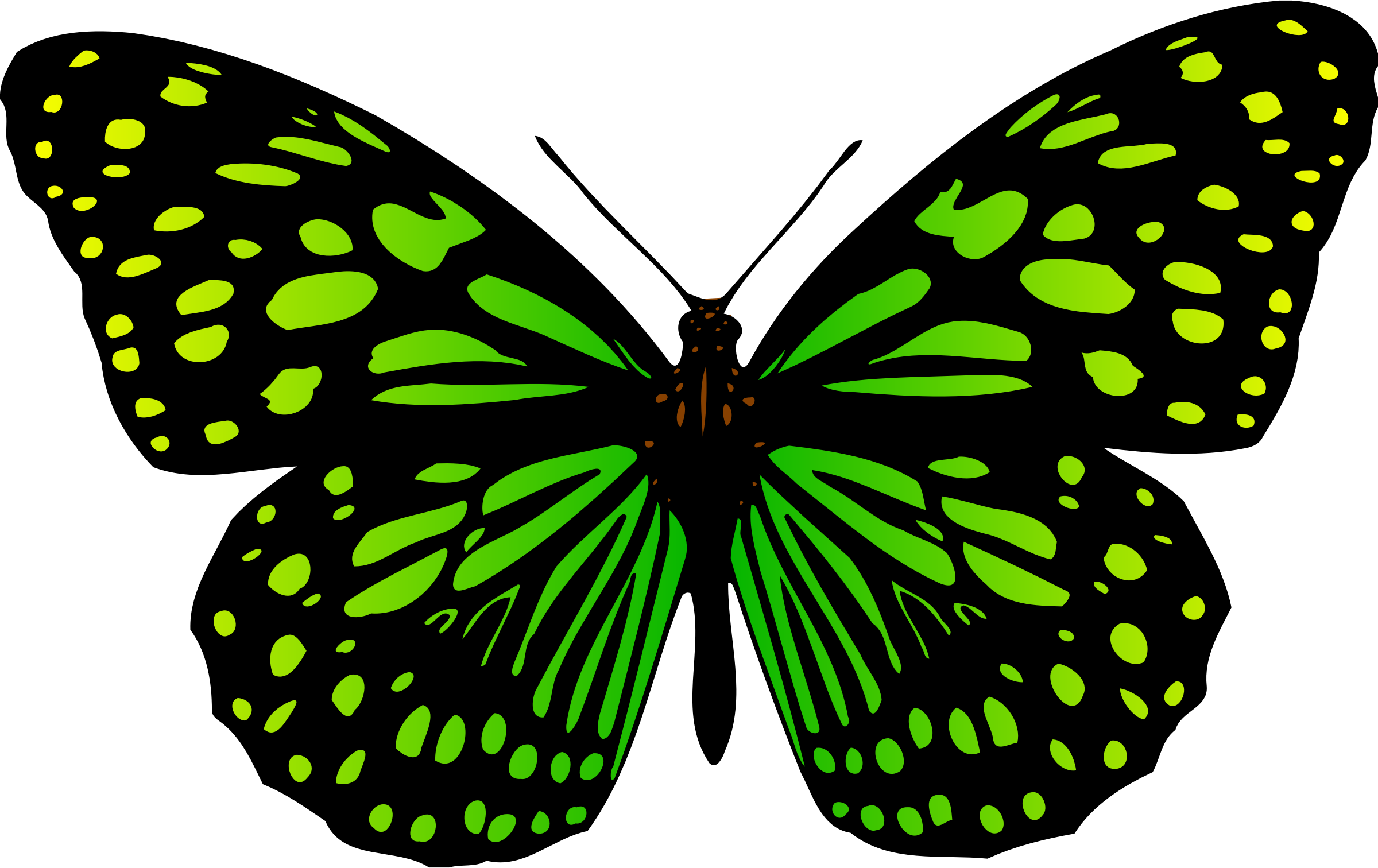 Big Image - Butterfly (2400x1512)