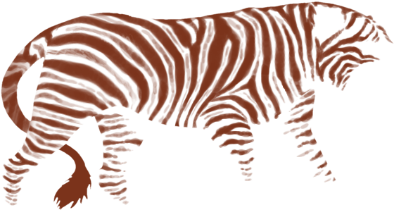 Zebra (640x500)