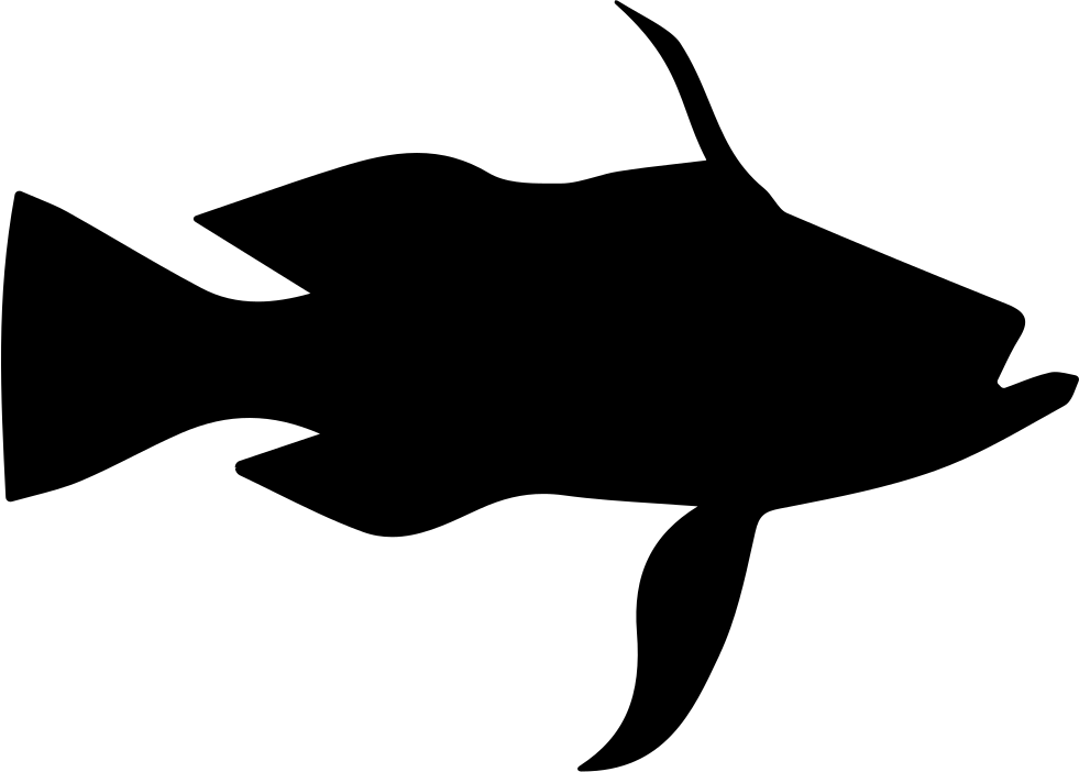 Longtail Bass Fish Shape Comments - Silhouette (981x702)