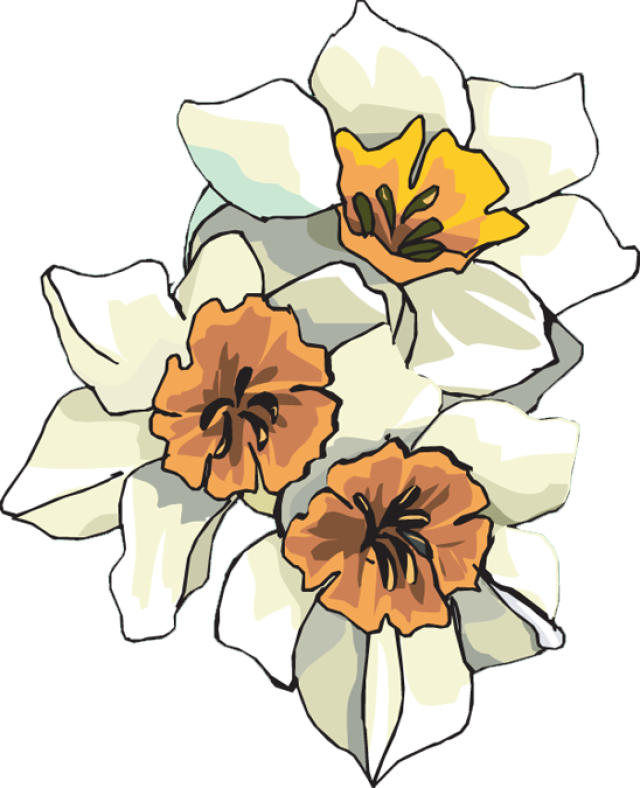 White (640x788)
