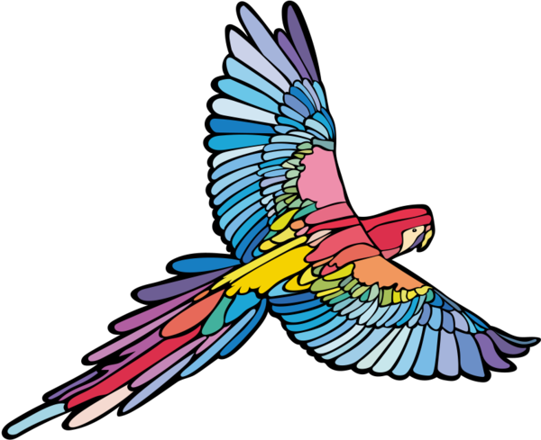 Latin America Overview - Macaw (600x489)