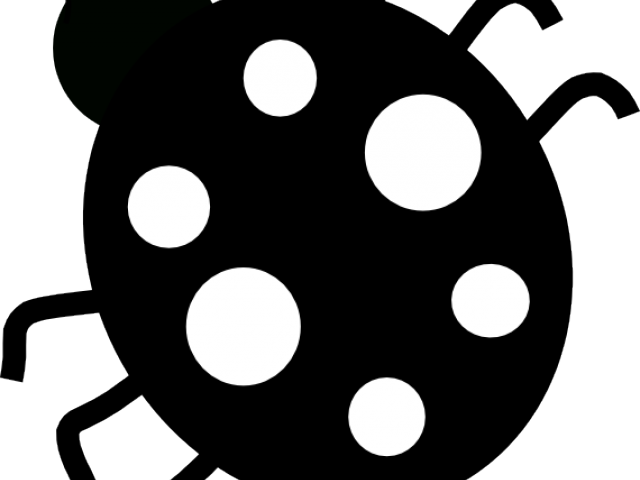Black Ladybug Cliparts - White (640x480)