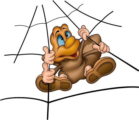 Spider (500x500)