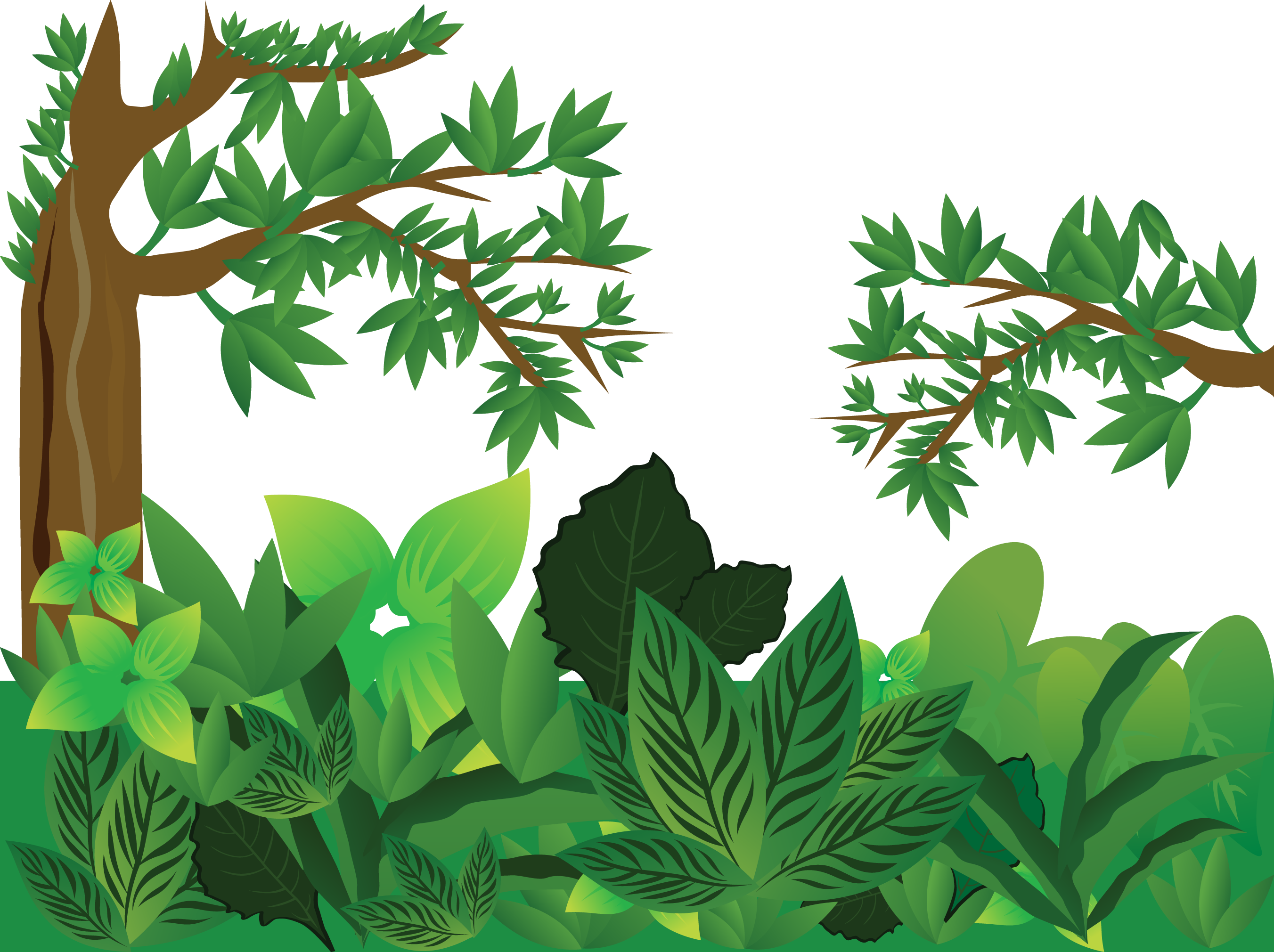 Forest Euclidean Vector - Vector Graphics (2704x2021)