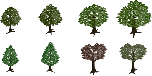 Nature Tree, Forest, Nature - Forest (640x322)