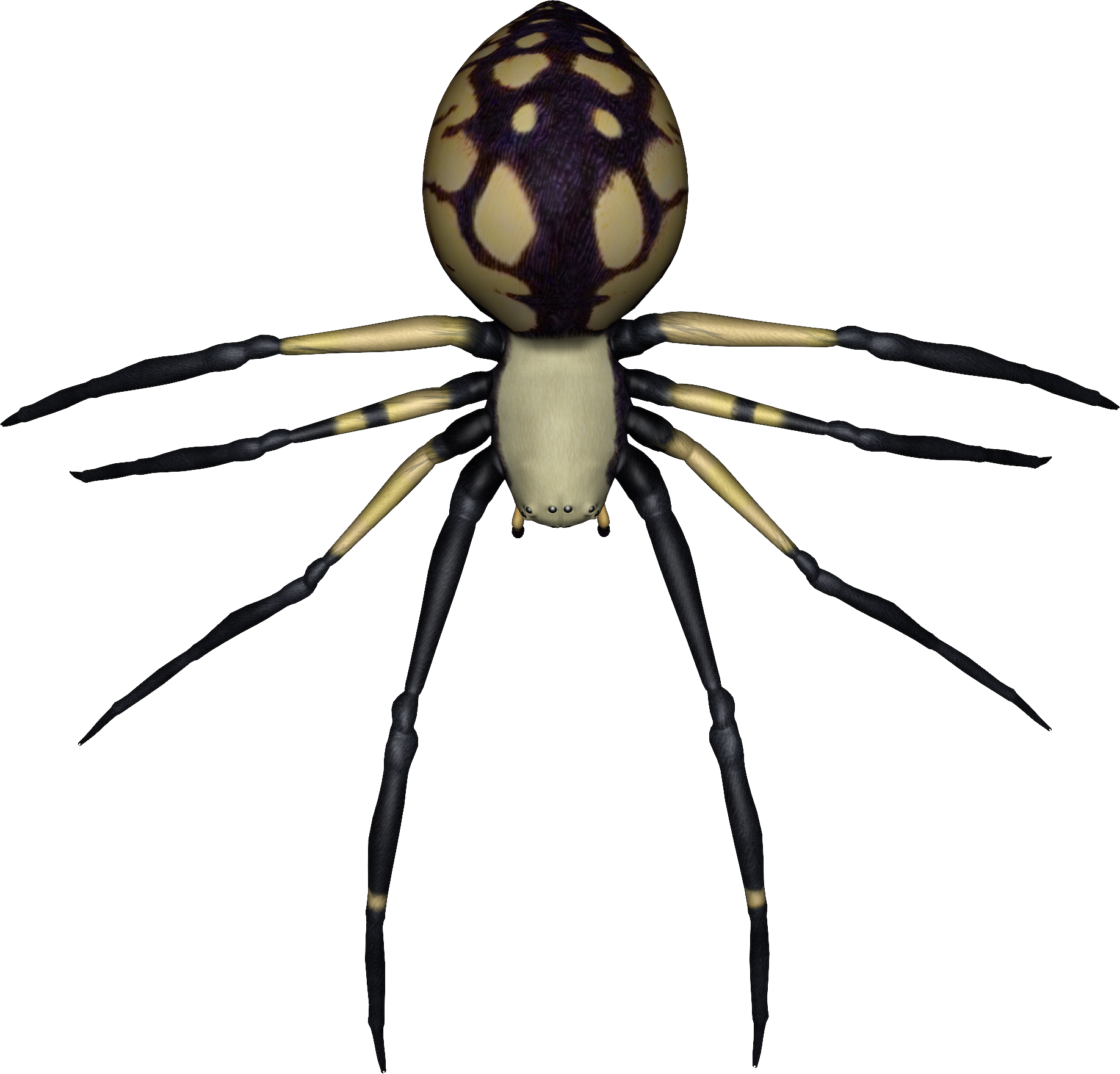 Spider Clip Art - Spiders Transparent Background (1835x1760)