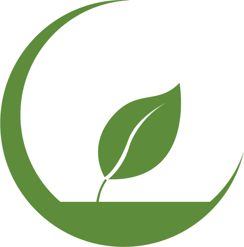 Google Search - Rainforest (486x492)