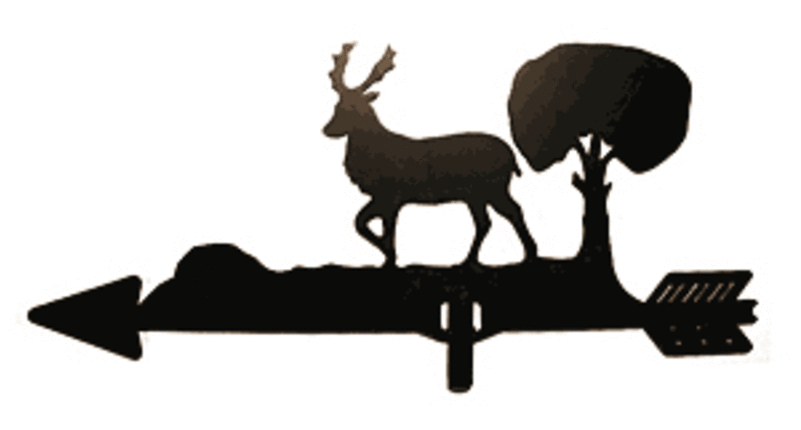 Elk (800x600)