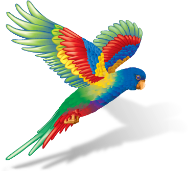Flying Colours (500x334)