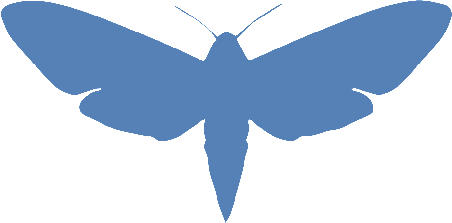 Moth Logo V2 - Physics (1024x553)