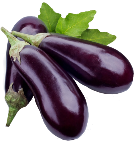 Brinjal Bharta /बड़ा बैंगन - Brinjal Vegetable (500x500)