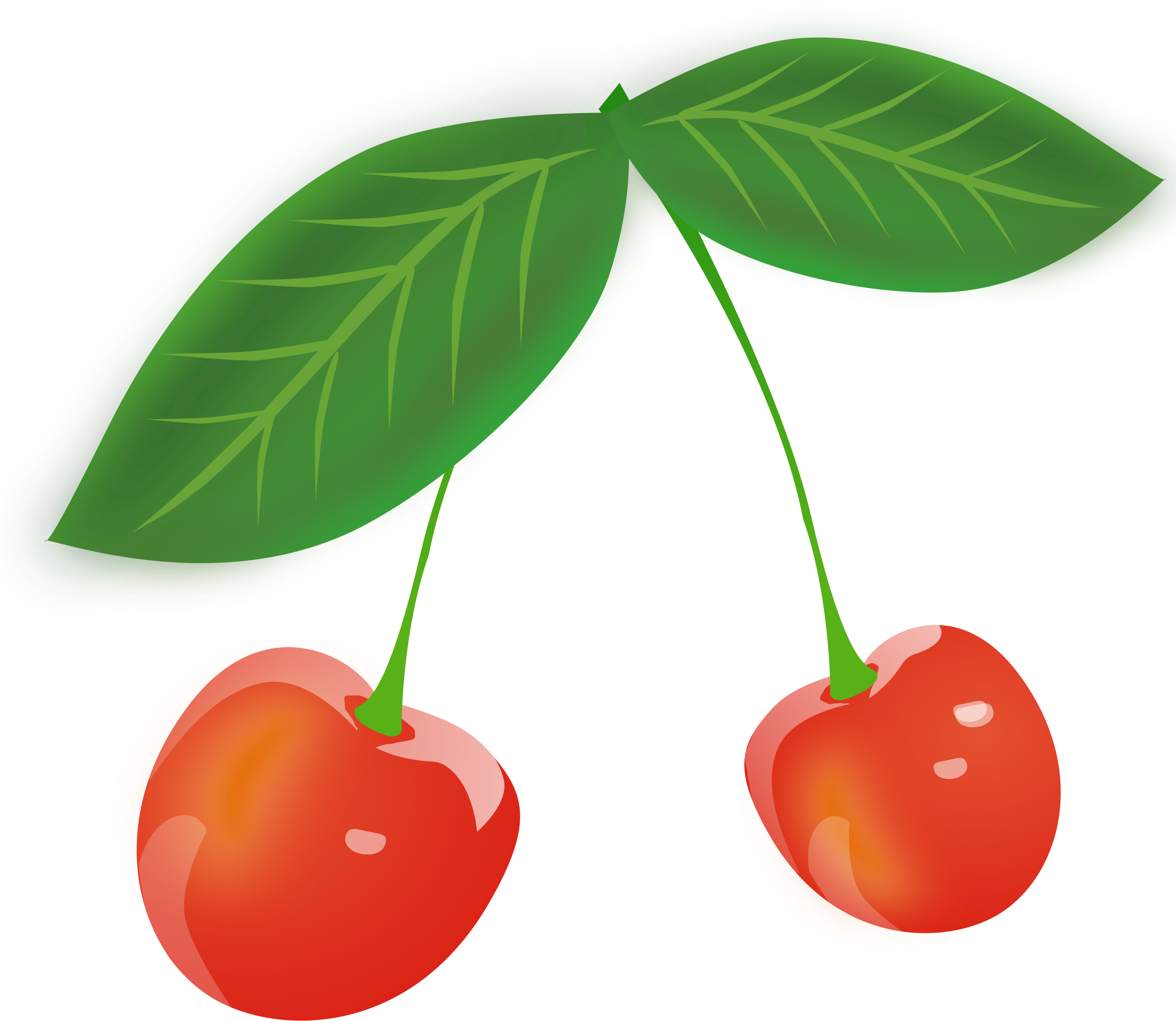 Cherry - Gambar Buah Cherry Merah (2400x2400)