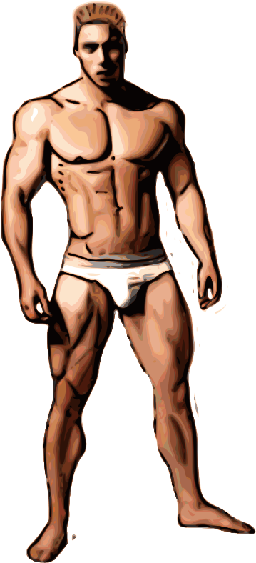 Clip Art Tags - Bodybuilder Boy (367x800)