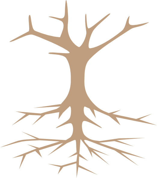 Tree Clip Art (522x593)