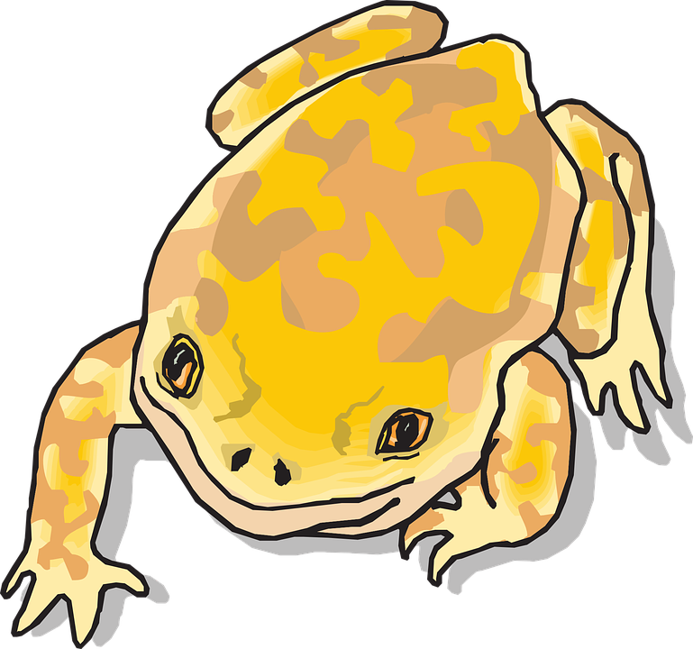 Yellow Cartoon Frog (769x720)