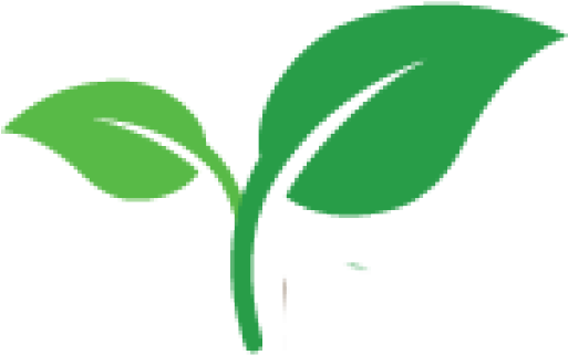Plant Shoot Png (512x512)