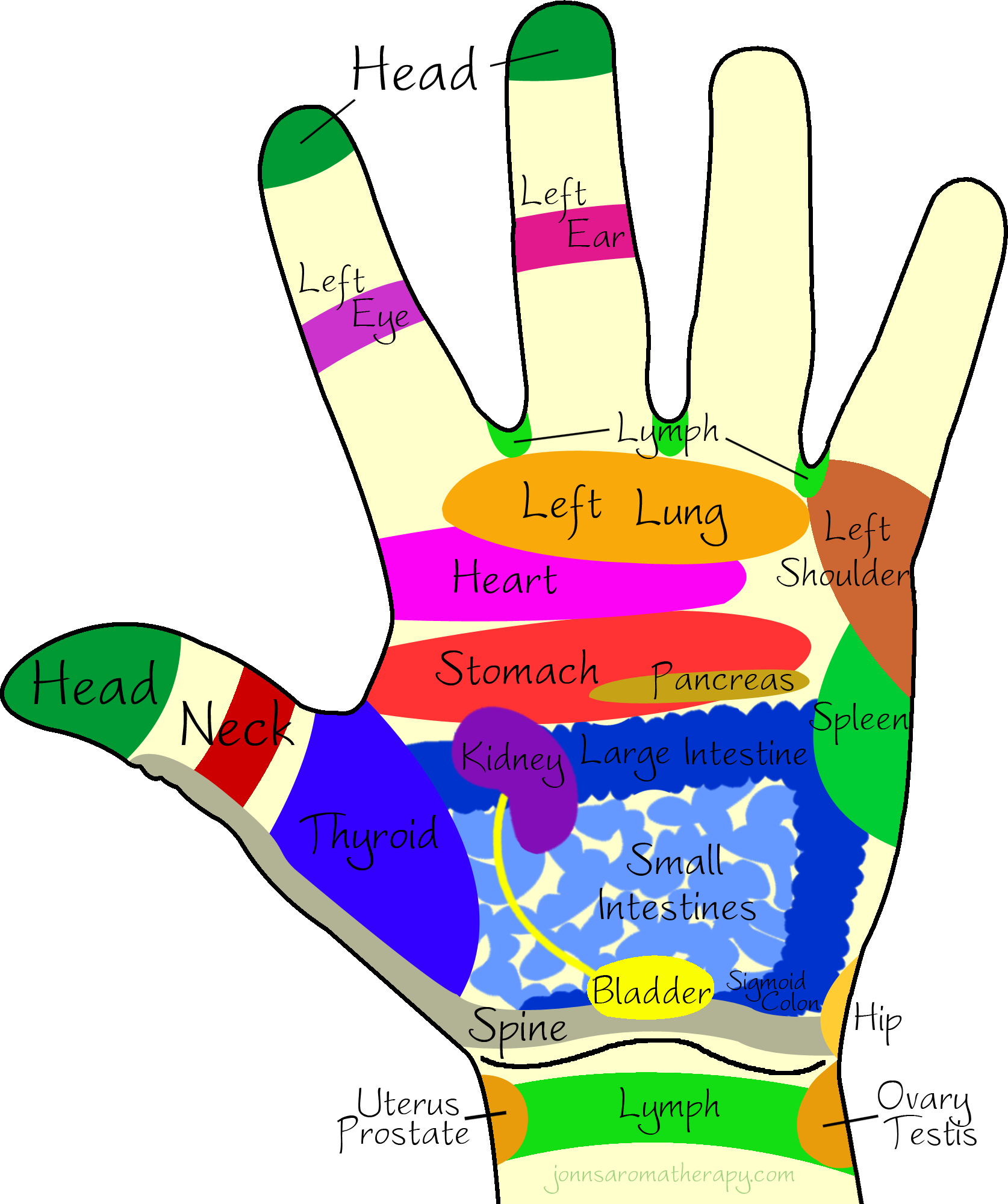 Left Hand - Colour Therapy On Hands (1674x1999)