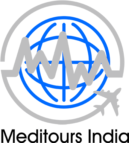 Meditoursindia Logo - Business (520x530)