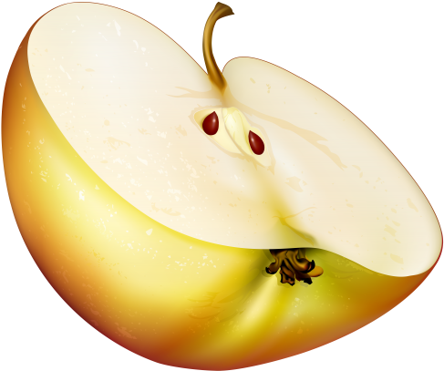 Apple Slice Png (500x418)
