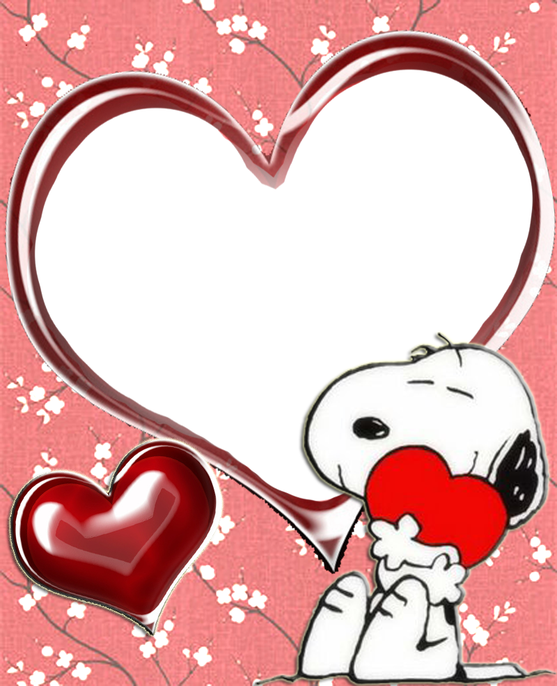 Snoopy - Snoopy Case Protective Custom Snoopy Plastic Cover (800x985)