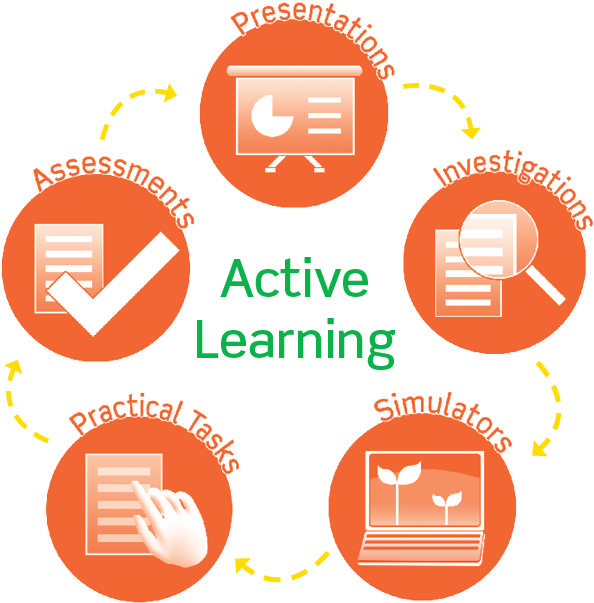 Elementary School Curriculum - Stem Curriculum For Elementary (791x628)