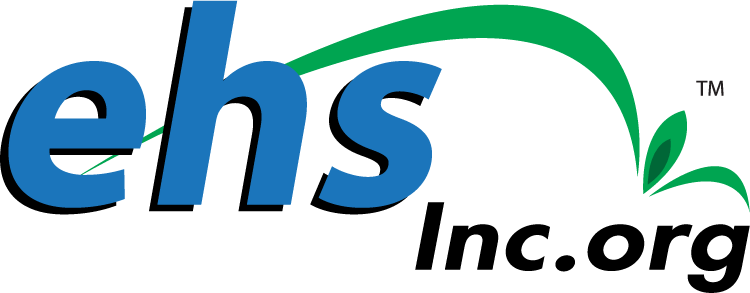 Ehs International Logo (750x293)